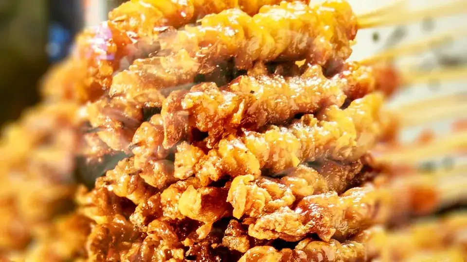 博多鶏皮串-博多官兵衛